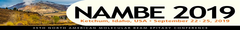 NAMBE2019 Banner Image